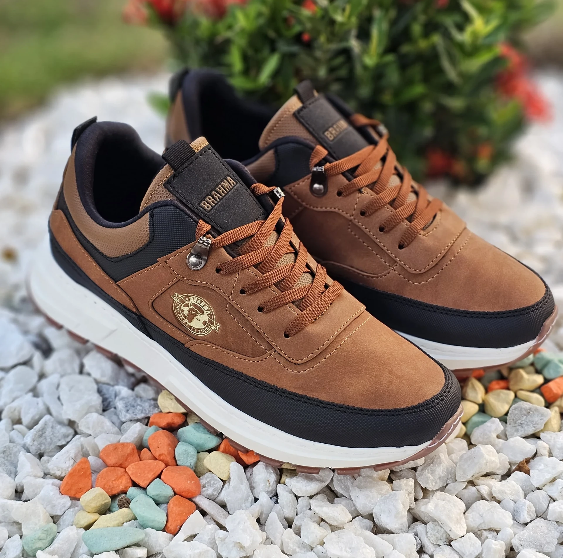 Tenis deportivo Brahma especial color café